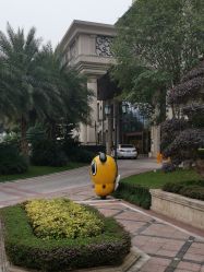 -重庆安琪儿妇产医院-妇幼保健联盟医院