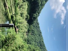 -桃花岭景区