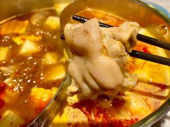 酸汤猪手火锅-小街猪手(团结湖店)