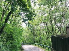 -南京金牛湖风景区