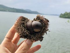-天目湖涵田度假村