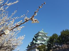 -名古屋城