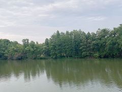 -东湖落雁景区