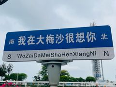 -大梅沙海滨公园