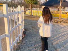 -前小桔亲子创意农场·草莓采摘·露营烧烤