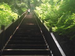 -天女山森林公园