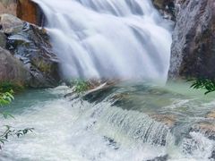 -广州白江湖森林公园