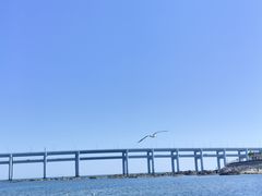 -黑石礁公园