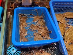 -渔傅印象滩涂霞浦海鲜(井大路店)