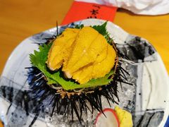 海胆刺身-綱元·海鲜豆捞(明州里店)