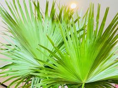 -HFFOUSA TACO弗萨塔可墨西哥餐厅(颐堤港店)