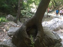 -北京上方山国家森林公园