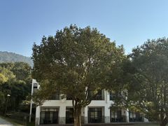 -苏州环秀晓筑养生度假村