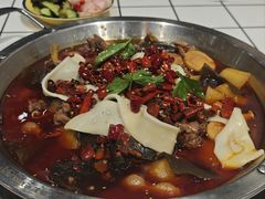 -晓彭肥肠鸡·泡椒鸡火锅(水木天地店)
