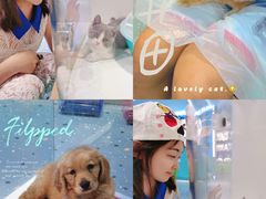 -龟与熊猫宠物公园(南坪店)