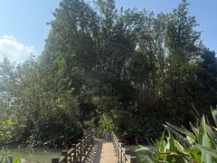 -桤木河湿地公园