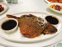 -桂园餐厅(五大道店)