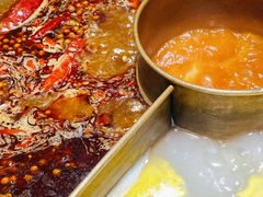 鸳鸯锅底-豪渝火锅(红谷滩万达店)