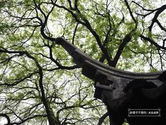 -艺圃