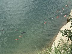 -沂蒙山旅游区云蒙景区(蒙山国家森林公园)