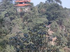 -缙云山景区