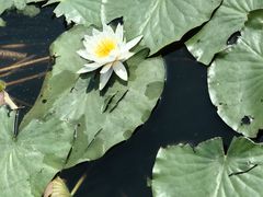 -水岸居湖景农家乐·阳澄湖大闸蟹