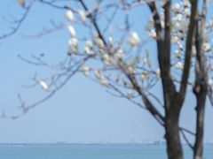 -阳澄湖半岛旅游度假区