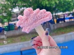 -大连老虎滩海洋公园