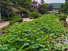 -云龙湖旅游景区
