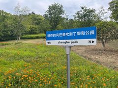 -郑和公园