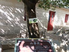 -青岛崂山太清宫
