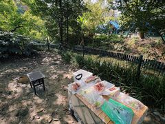 -上海共青森林公园