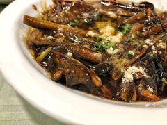 响油鳝丝-乔家栅(襄阳南路店)