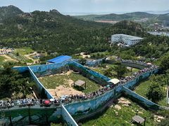 -西霞口神雕山野生动物世界