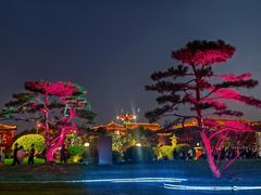 -大唐不夜城