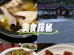 -呼吸森林·生态农庄农家乐私房菜