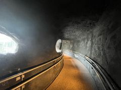 -新加坡飞禽公园