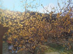 -无锡梅园公园
