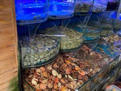 水产区-鼓歌海鲜舫·手抓海鲜(大学城店)