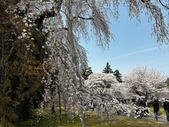 -醍醐寺