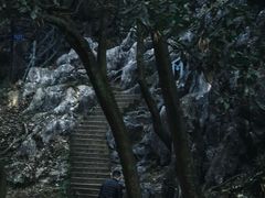 -灵隐飞来峰景区
