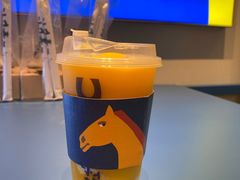 -春丽小马(济南恒隆广场店)