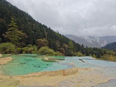 -黄龙山原始森林景区