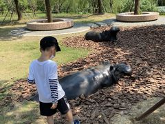 -上方山森林动物世界