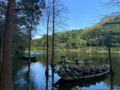 -深圳仙湖植物园