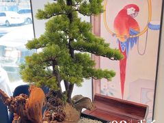 -顺峰(农展馆店)