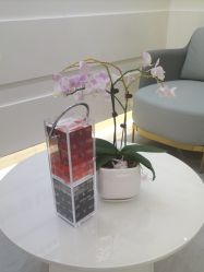 -SKINIST丽铂医疗美容