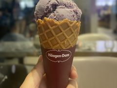 -哈根达斯(深圳海岸城店)