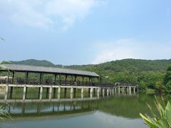 -石塘人家