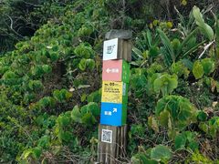 -西涌国际滨海旅游区